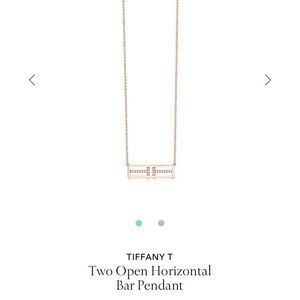Tiffany & Co. Tiffany T. Necklace